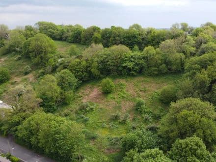 Land at Wolverwood Lane, Plympton